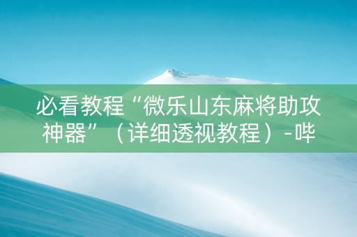 必看教程“微乐山东麻将助攻神器”（详细透视教程）-哔哩哔哩