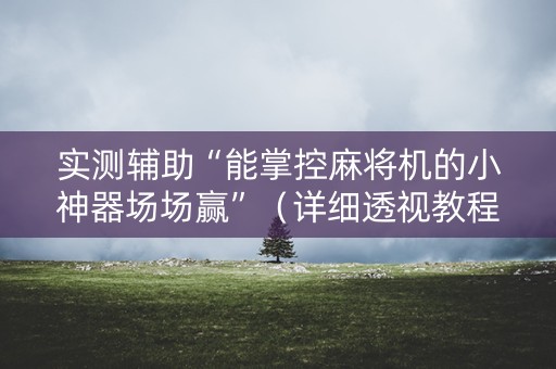 实测辅助“能掌控麻将机的小神器场场赢”（详细透视教程）-哔哩哔哩