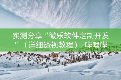 实测分享“微乐软件定制开发”（详细透视教程）-哔哩哔哩