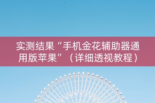 实测结果“手机金花辅助器通用版苹果”（详细透视教程）-哔哩哔哩