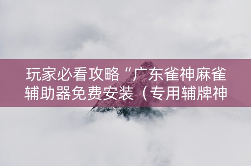 玩家必看攻略“广东雀神麻雀辅助器免费安装（专用辅牌神器免安装）