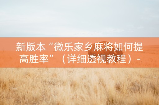 新版本“微乐家乡麻将如何提高胜率”（详细透视教程）-哔哩哔哩