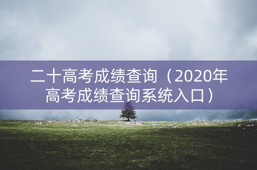 二十高考成绩查询（2020年高考成绩查询系统入口）