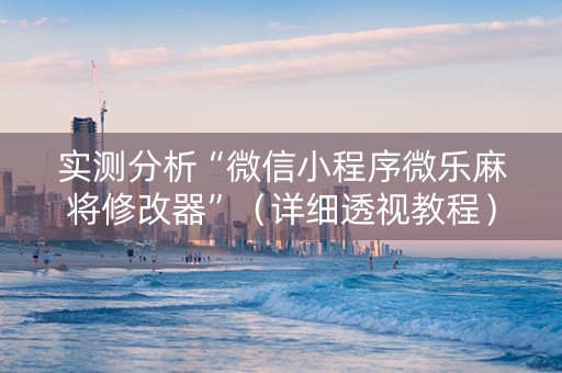 实测分析“微信小程序微乐麻将修改器”（详细透视教程）-哔哩哔哩