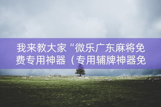 我来教大家“微乐广东麻将免费专用神器（专用辅牌神器免安装）