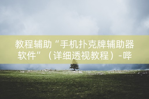 教程辅助“手机扑克牌辅助器软件”（详细透视教程）-哔哩哔哩