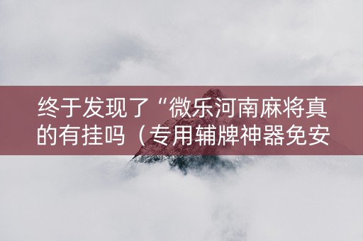 终于发现了“微乐河南麻将真的有挂吗（专用辅牌神器免安装）