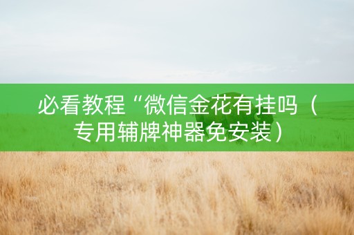 必看教程“微信金花有挂吗（专用辅牌神器免安装）