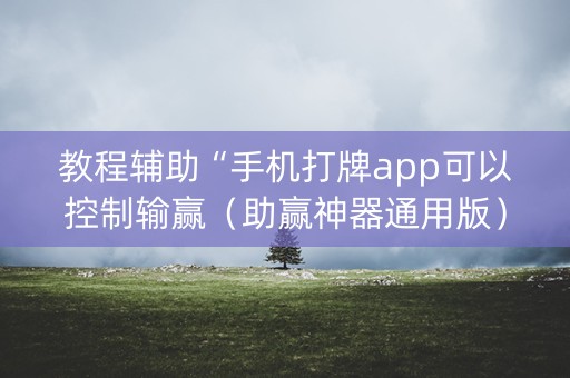 教程辅助“手机打牌app可以控制输赢（助赢神器通用版）