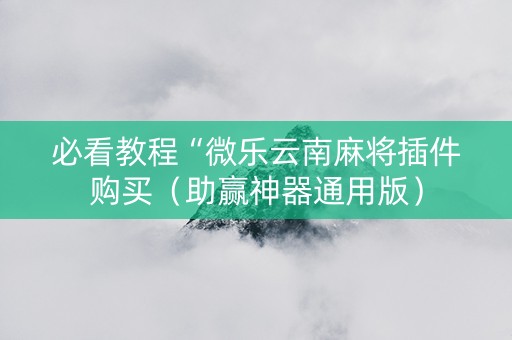 必看教程“微乐云南麻将插件购买（助赢神器通用版）