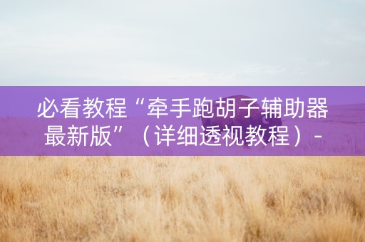 必看教程“牵手跑胡子辅助器最新版”（详细透视教程）-哔哩哔哩