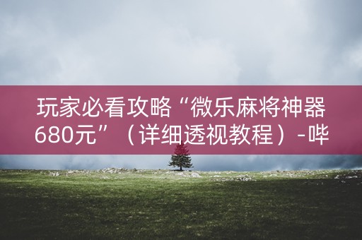 玩家必看攻略“微乐麻将神器680元”（详细透视教程）-哔哩哔哩