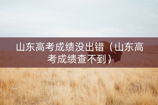 山东高考成绩没出错（山东高考成绩查不到）