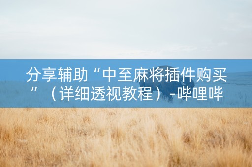 分享辅助“中至麻将插件购买”（详细透视教程）-哔哩哔哩