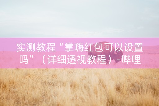 实测教程“掌嗨红包可以设置吗”（详细透视教程）-哔哩哔哩
