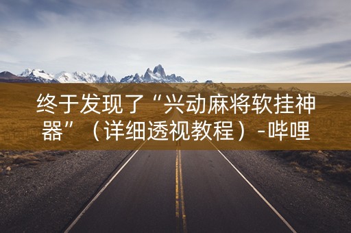 终于发现了“兴动麻将软挂神器”（详细透视教程）-哔哩哔哩