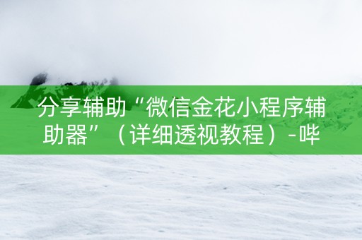 分享辅助“微信金花小程序辅助器”（详细透视教程）-哔哩哔哩