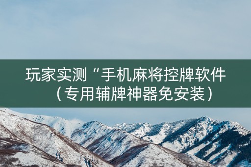 玩家实测“手机麻将控牌软件（专用辅牌神器免安装）
