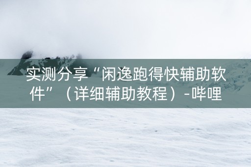 实测分享“闲逸跑得快辅助软件”（详细辅助教程）-哔哩哔哩