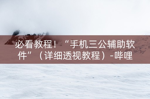 必看教程！“手机三公辅助软件”（详细透视教程）-哔哩哔哩