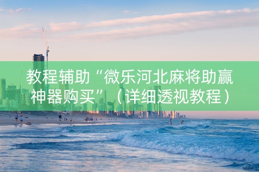 教程辅助“微乐河北麻将助赢神器购买”（详细透视教程）-哔哩哔哩