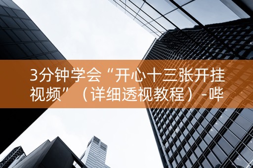 3分钟学会“开心十三张开挂视频”（详细透视教程）-哔哩哔哩