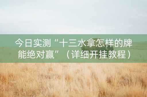 今日实测“十三水拿怎样的牌能绝对赢”（详细开挂教程）-哔哩哔哩