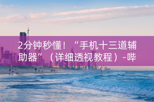2分钟秒懂！“手机十三道辅助器”（详细透视教程）-哔哩哔哩