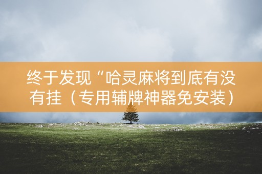 终于发现“哈灵麻将到底有没有挂（专用辅牌神器免安装）