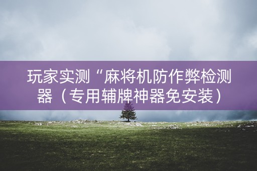 玩家实测“麻将机防作弊检测器（专用辅牌神器免安装）