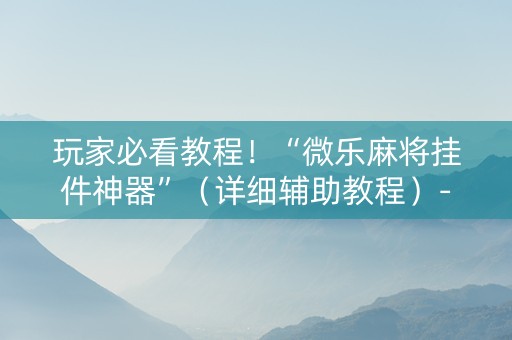 玩家必看教程！“微乐麻将挂件神器”（详细辅助教程）-哔哩哔哩