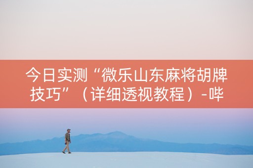 今日实测“微乐山东麻将胡牌技巧”（详细透视教程）-哔哩哔哩