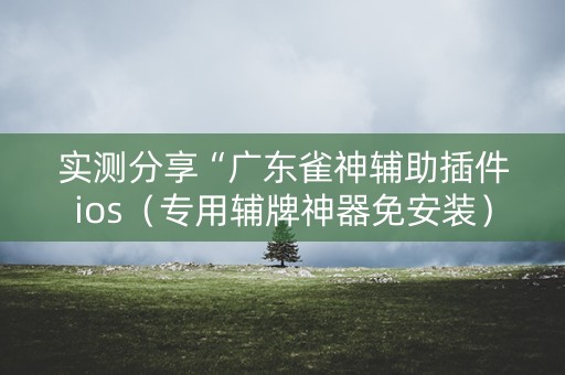 实测分享“广东雀神辅助插件ios（专用辅牌神器免安装）