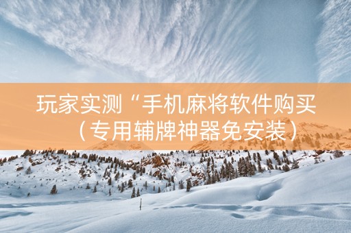 玩家实测“手机麻将软件购买（专用辅牌神器免安装）
