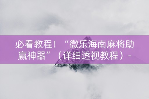 必看教程！“微乐海南麻将助赢神器”（详细透视教程）-哔哩哔哩