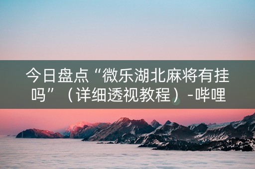 今日盘点“微乐湖北麻将有挂吗”（详细透视教程）-哔哩哔哩