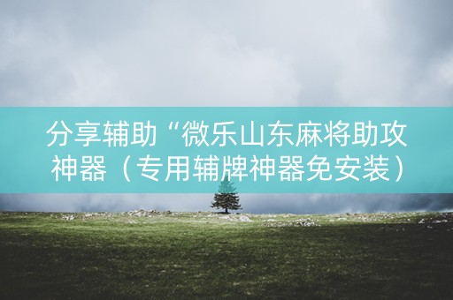 分享辅助“微乐山东麻将助攻神器（专用辅牌神器免安装）