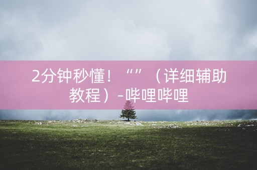2分钟秒懂！“”（详细辅助教程）-哔哩哔哩