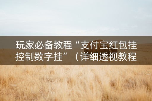 玩家必备教程“支付宝红包挂控制数字挂”（详细透视教程）-哔哩哔哩