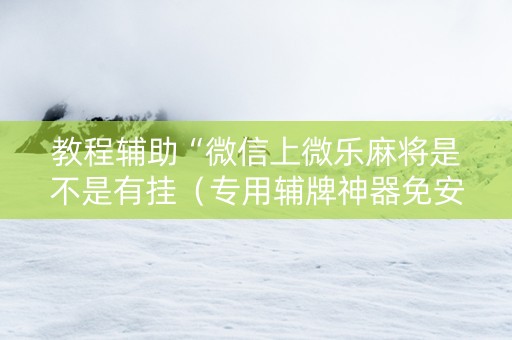 教程辅助“微信上微乐麻将是不是有挂（专用辅牌神器免安装）