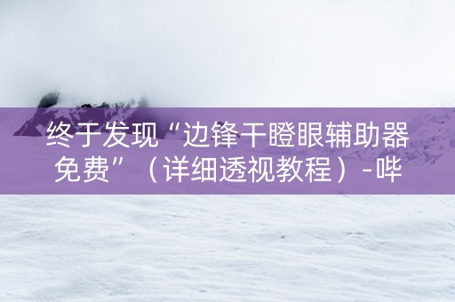 终于发现“边锋干瞪眼辅助器免费”（详细透视教程）-哔哩哔哩