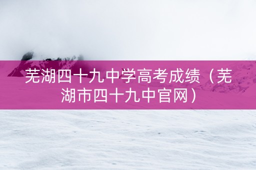 芜湖四十九中学高考成绩（芜湖市四十九中官网）