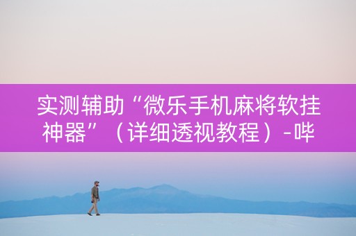 实测辅助“微乐手机麻将软挂神器”（详细透视教程）-哔哩哔哩