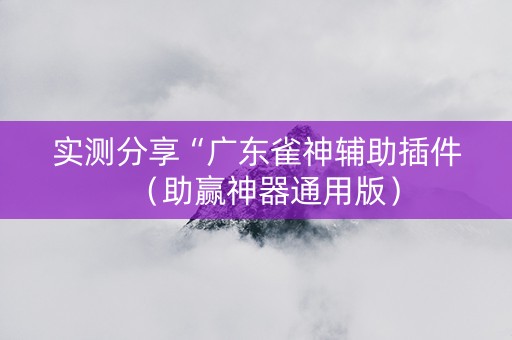 实测分享“广东雀神辅助插件（助赢神器通用版）