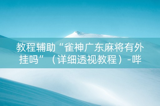 教程辅助“雀神广东麻将有外挂吗”（详细透视教程）-哔哩哔哩