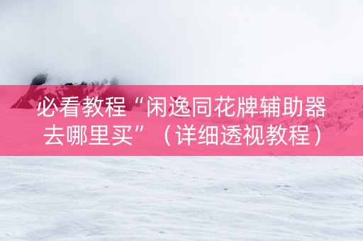 必看教程“闲逸同花牌辅助器去哪里买”（详细透视教程）-哔哩哔哩