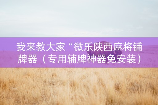 我来教大家“微乐陕西麻将铺牌器（专用辅牌神器免安装）