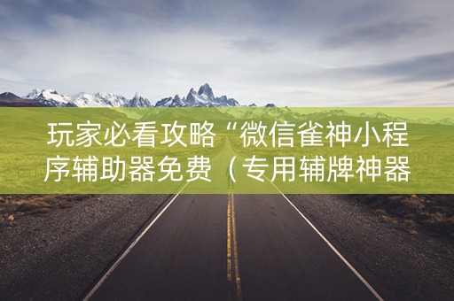 玩家必看攻略“微信雀神小程序辅助器免费（专用辅牌神器免安装）