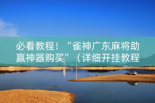 必看教程！“雀神广东麻将助赢神器购买”（详细开挂教程）-哔哩哔哩