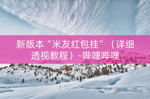 新版本“米友红包挂”（详细透视教程）-哔哩哔哩